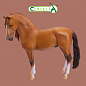 Collecta ������� ������ ������� ��������� ������-���������� XL 88701b � 3 ���