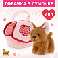 Fluffy Family ����� 17 �� � ������� ������� 682313 � 3 ���