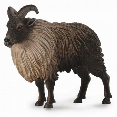 Collecta ������� ����������� ��� L 88758b � 3 ���