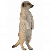 Collecta ������� ������� S 88913b � 3 ���