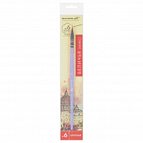 Brauberg ����� �������������� ����������������, �����, ����, �������, � 6, Art Classic, 200952