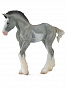 Collecta ������� ������ ��������� ��������������� ������ ����� M 88626b � 3 ���