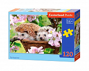 Castorland ����� ����� 120 ������� MIDI (B6-13319) � 6 ���