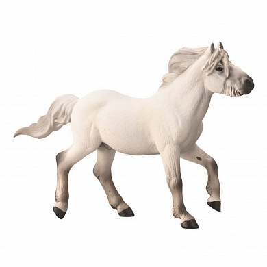 Collecta ������� ������ �������� ������� ������ ����� XL 88951b � 3 ���