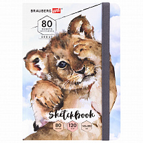 Brauberg �������� ����� ������ 120 �/�2 145�203 �� 80 � ������� Art Debut ������� 114585