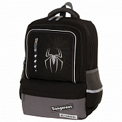 Brauberg ������ �������� Star, 1 ���������, 5 �������� Spider 229978