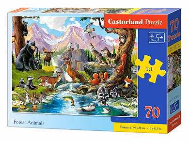 Castorland ���� ����� �������� 70 ��������� 0091/B8-07091 � 5 ���
