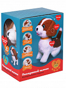 Fluffy Family ����� ������������� ��������� ����� 25 �� 682263 � 3 ���