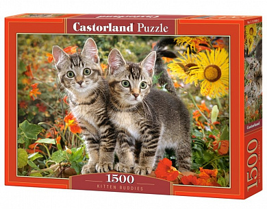 Castorland ���� ������ �������� 1500 ��������� 1899/C-151899 � 9 ���