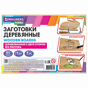 Brauberg ��������� ��� ���������� ���������� ��� �������� 5 �� 21�30 �� Hobby 665313