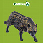 Collecta ������� ����������� ������� � 88824b � 3 ���