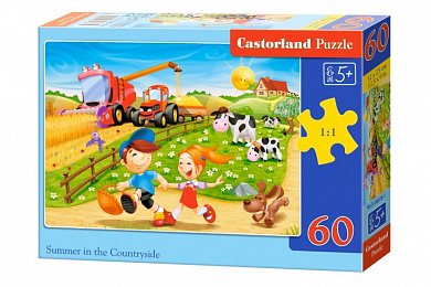 Castorland ����-midi ���� � ������� 60 ��������� 6878/B5-06878 � 5 ���
