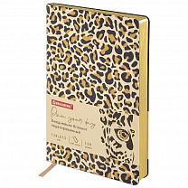 Brauberg ���������� �������������� �5 138�213 �� Vista ��� ���� ������ 136 � Leopard 112038