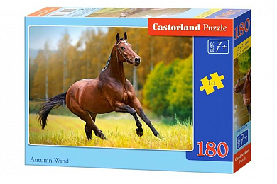Castorland ���� ������� ����� 180 ��������� Castorland 8314/B1-018314 � 6 ���