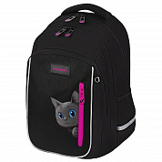 Brauberg ������ Intent 2 ��������� 4 ������� Peering cat 274396