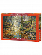 Castorland ����� � ������� ���� 2000 ������� 0757/C-200757 � 12 ���