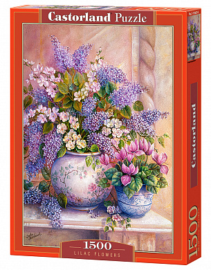 Castorland ���� ������ 1500 ��������� 1653/C-151653 � 12 ���