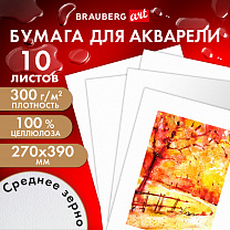 Brauberg    300  270x390   , 10  Art Premiere 115335