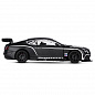 ������������ ������� Bentley Continental GT3 Concept ������ 1:24 ������ J�1251565 � 3 ���