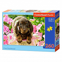 Castorland ���� midi ����� ����� 260 ��������� 7514/B2-27514 � 8 ���