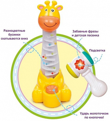 Zhorya ����� � ���������� ������ (����, ����) ZYA-A1081 � 1 ����