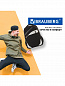 Brauberg ������ ��� ����� � ����� Sprinter 46�34�21 �� ����� ����-����� 224453
