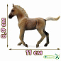 Collecta ������� ������ ��������� ������ ���������� M 88799b � 3 ���