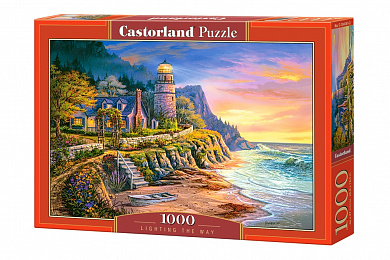 Castorland ���� ������� ���� 1000 ��������� 4161/C-104161 � 10 ���