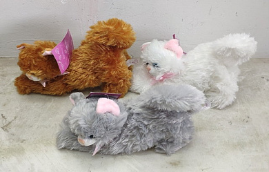 Supertoys ������ ������� ����� 20 �� 6789 � 3 ���