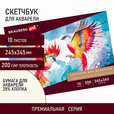 Brauberg ������ ��� ��������, ������ ������ 200 �/�2 25% ������ 245�345 ��, 10 � 105911