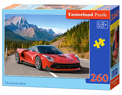 Castorland ����-midi �������� � ����� 260 ��������� 7477/�2-27477 � 8 ���