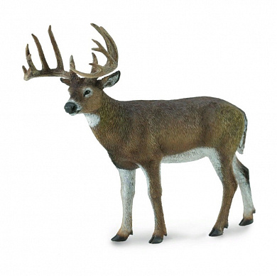 Collecta ������� ����� ����������� L 88832b � 3 ���