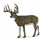 Collecta ������� ����� ����������� L 88832b � 3 ���