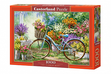 Castorland ���� ��������� ���� 1000 ��������� 3898/�-103898 � 10 ���