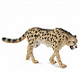 Collecta ������� ����������� ������ 88608b � 3 ���