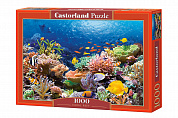 Castorland ����� ���������� ��� 1000 ������� (C-101511) � 10 ���
