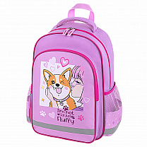 ������� ������ School 1 ��������� 3 ������� Fluffy akita 272084