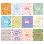 Brauberg ������� ���������� �������� 12 ��������� 48 � ��������� ������ Blossom 405179
