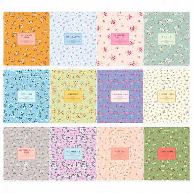Brauberg ������� ���������� �������� 12 ��������� 48 � ��������� ������ Blossom 405179