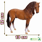 Collecta ������� ������ ������� ��������� ������-���������� XL 88701b � 3 ���