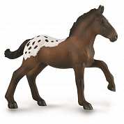 Collecta ������� ������ ��������� ������������ ��������� M 88897b � 3 ���