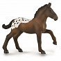 Collecta ������� ������ ��������� ������������ ��������� M 88897b � 3 ���
