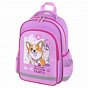   School 1  3  Fluffy akita 272084