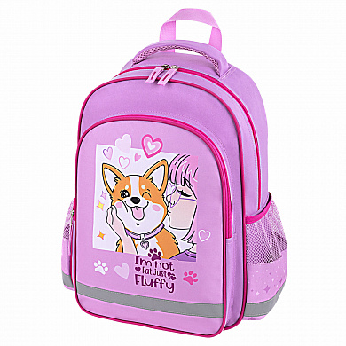   School 1  3  Fluffy akita 272084