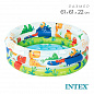 Intex ������� �������� ������� ������� ������ 61�22 �� 57106NP � 1 ����