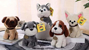 Supertoys ������ ������� ���������� ����� � ��������� 17 ��, 5 ����� 8326 � 3 ���