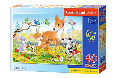 Castorland ����-maxi ��������� �������� 40 ��������� 0384/MX-040384 � 4 ���