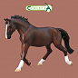 Collecta ������� ������ �������������� ������ ���������� XL 80006b � 3 ���