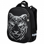 Brauberg ����� Shiny 2 ��������� � ������� Tiger ���������� ������� 270698