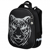Brauberg ����� Shiny 2 ��������� � ������� Tiger ���������� ������� 270698